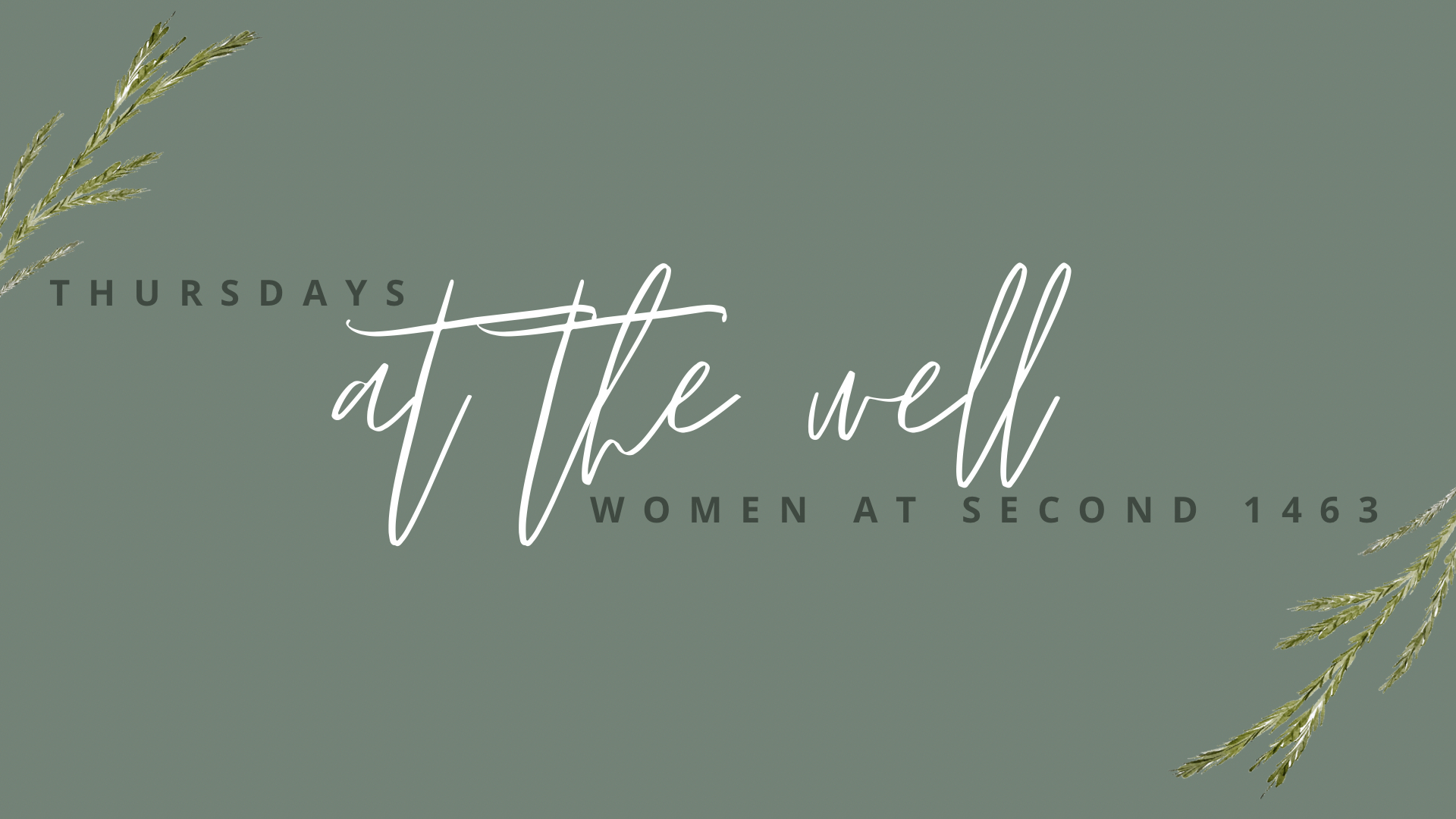 Thursdays at the Well: An Inductive Study of 1 Samuel– 1463